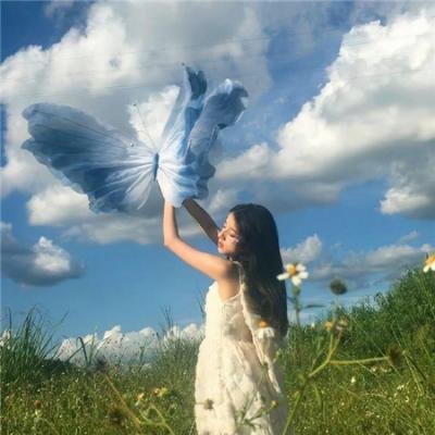 密探海芮：部落格大战